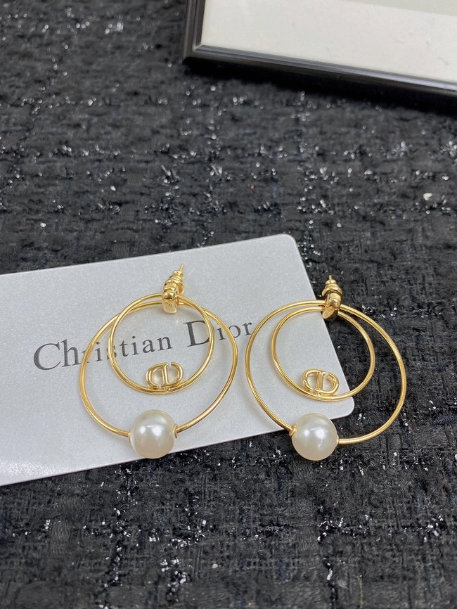 Dior Earrings CE7455