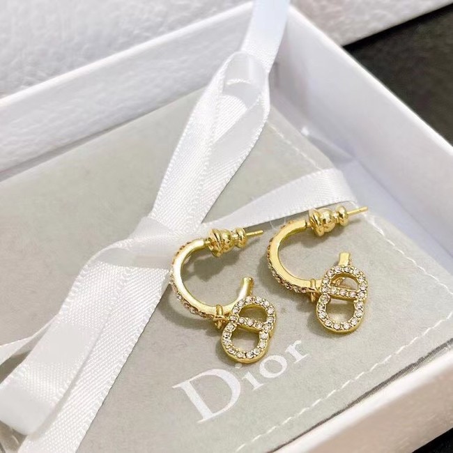 Dior Earrings CE7464