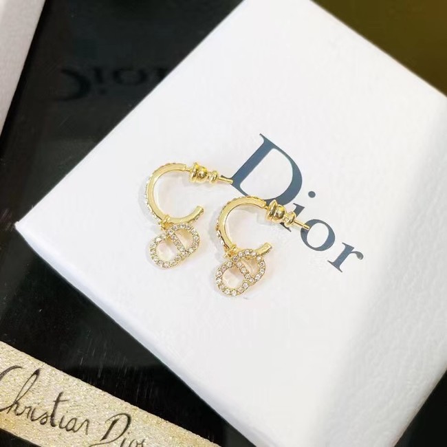 Dior Earrings CE7464