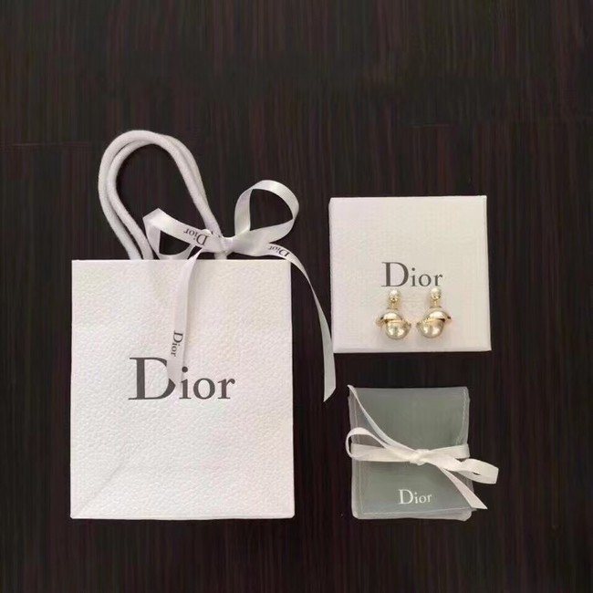 Dior Earrings CE7477