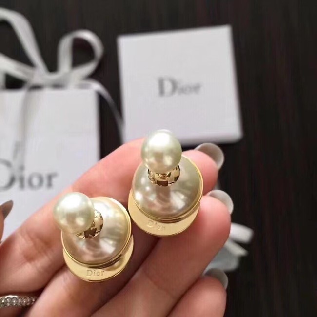 Dior Earrings CE7477
