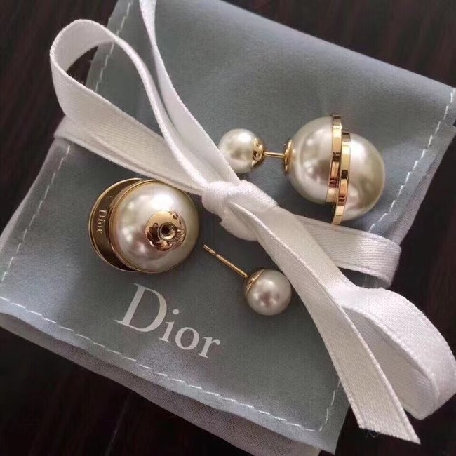 Dior Earrings CE7477