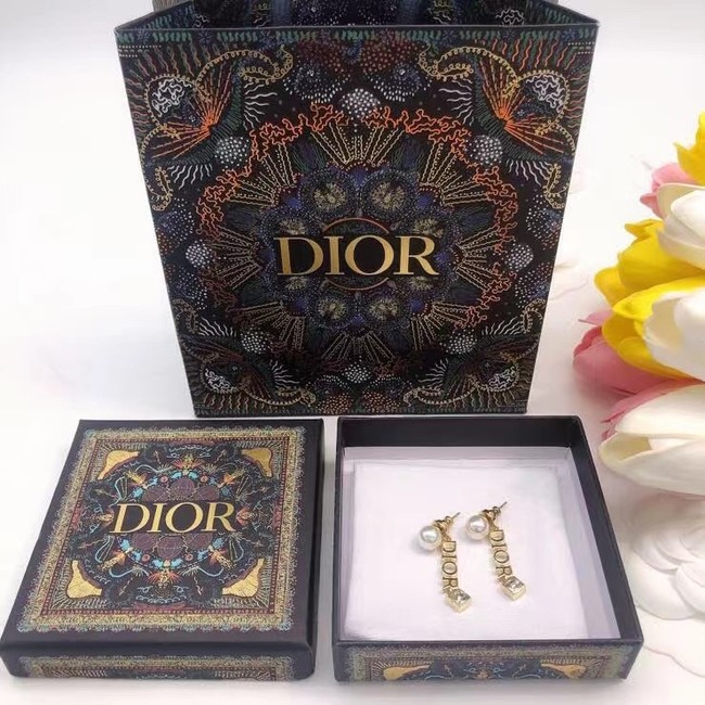 Dior Earrings CE7481