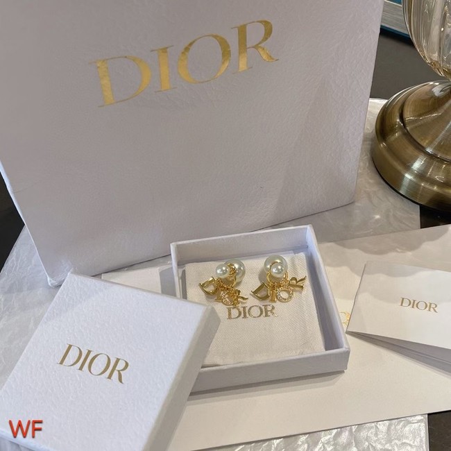 Dior Earrings CE7501