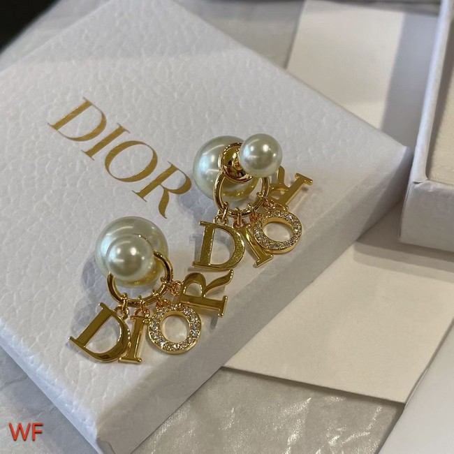 Dior Earrings CE7501