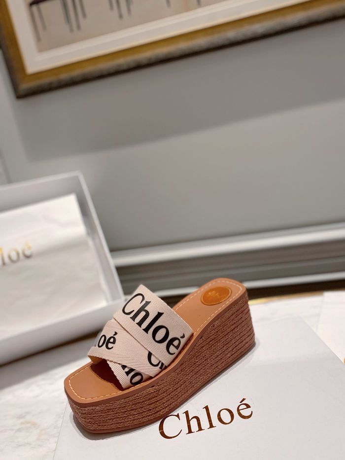 Chloe shoes CO00009