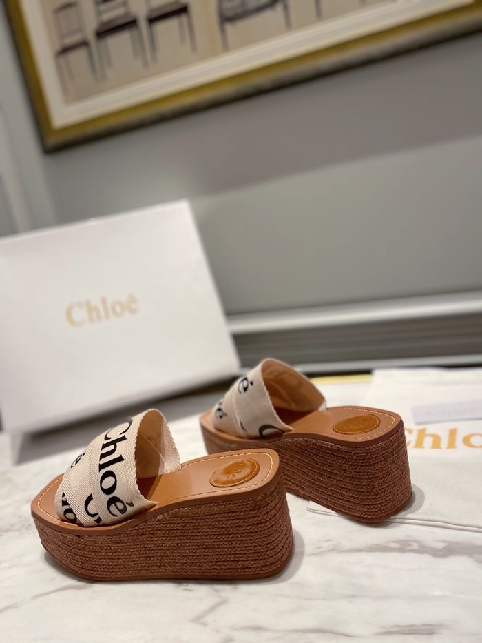 Chloe shoes CO00009