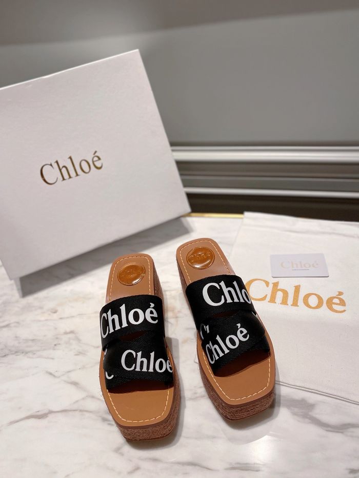 Chloe shoes CO00010