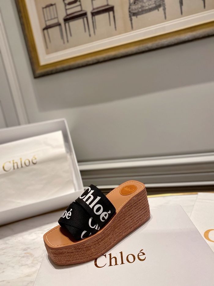 Chloe shoes CO00010