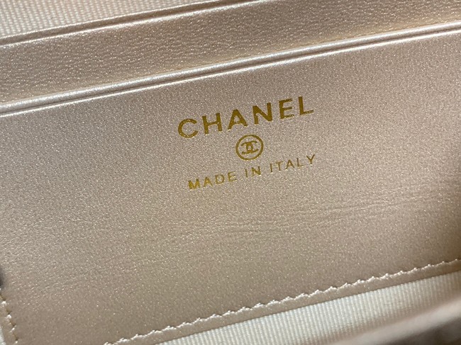 Chanel Lambskin camera bag AS2463 white