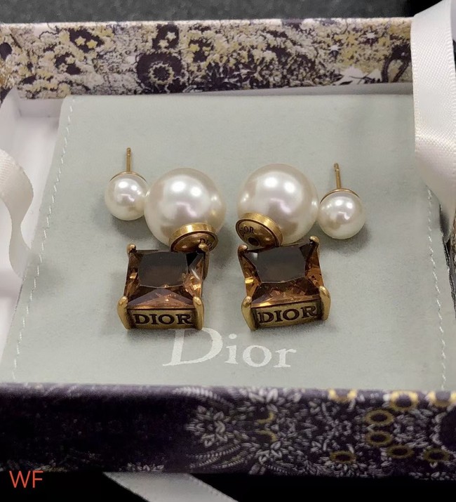 Dior  Earrings CE7545