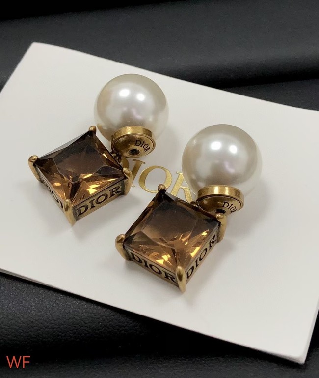 Dior Earrings CE7545