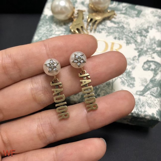 Dior Earrings CE7556