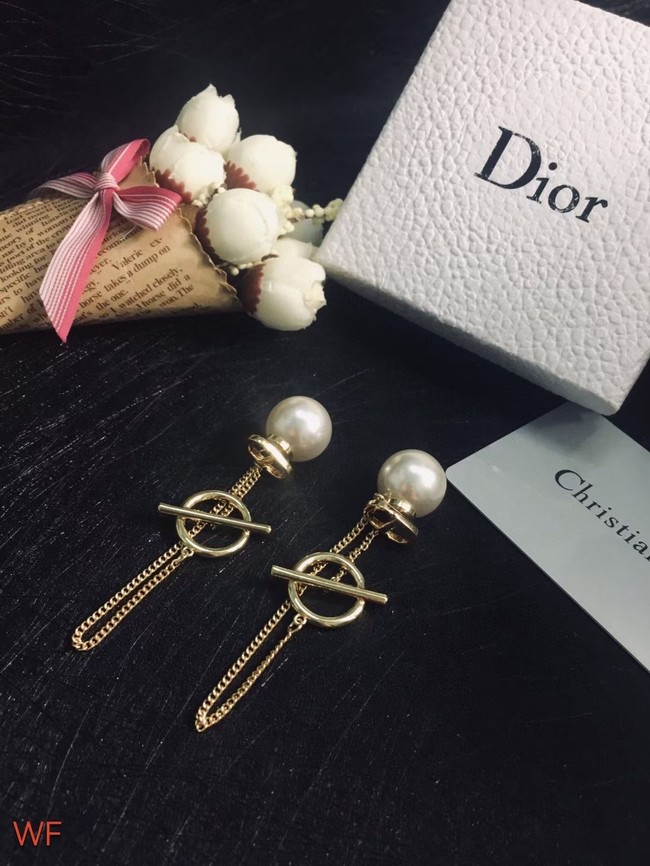 Dior Earrings CE7558