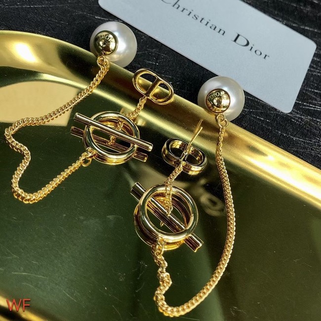 Dior Earrings CE7558