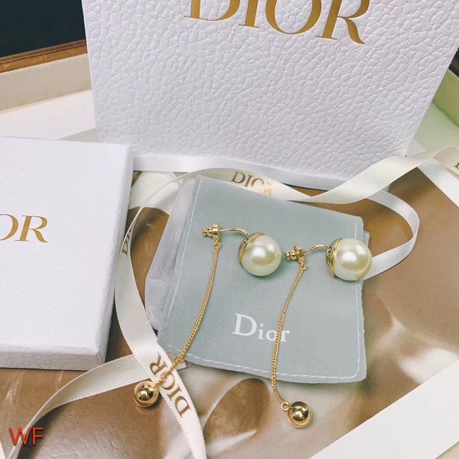Dior Earrings CE7567
