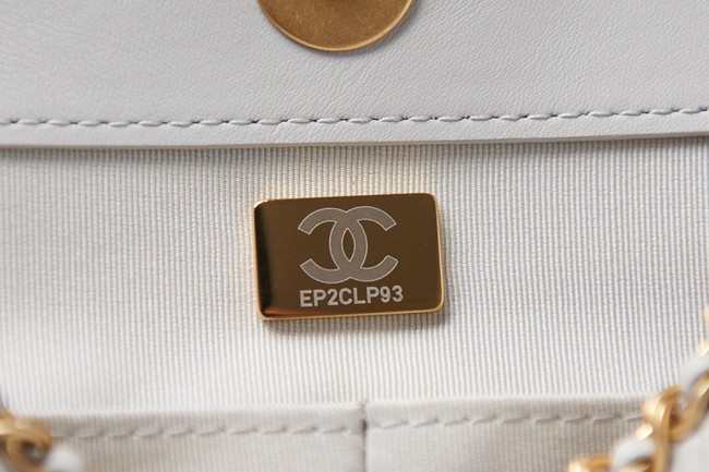 Chanel Sheepskin Shoulder Bags AS2761 light gray