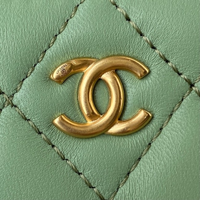 Chanel Lambskin camera bag AS2463 green
