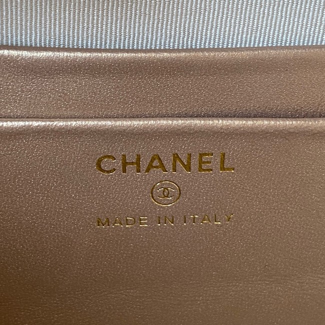 Chanel Lambskin camera bag AS2463 light gray