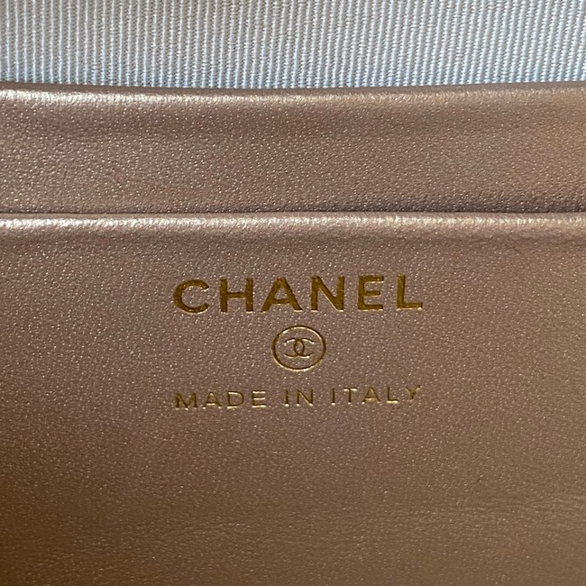 Chanel Lambskin camera bag AS2463 light gray