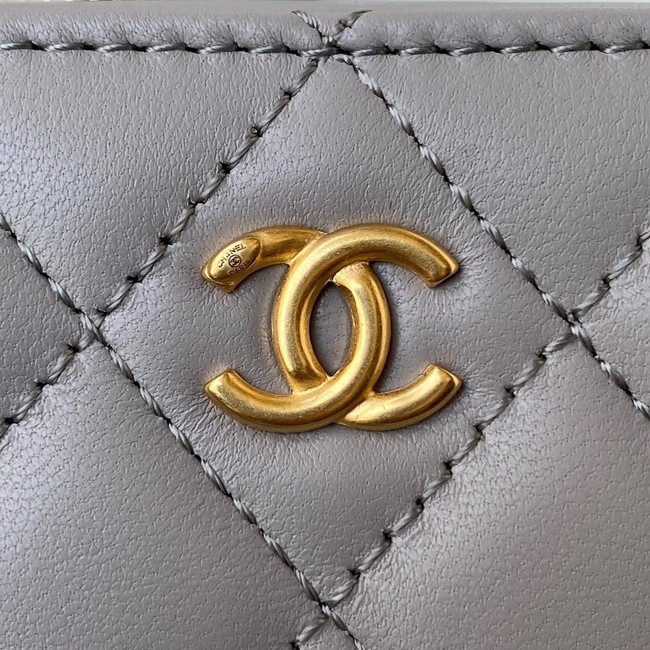 Chanel Lambskin camera bag AS2463 light gray