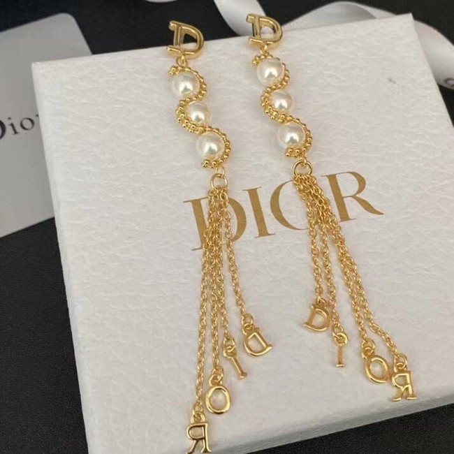 Dior Earrings CE7657