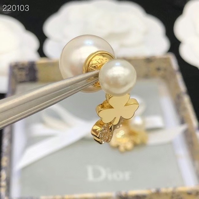 Dior Earrings CE7692
