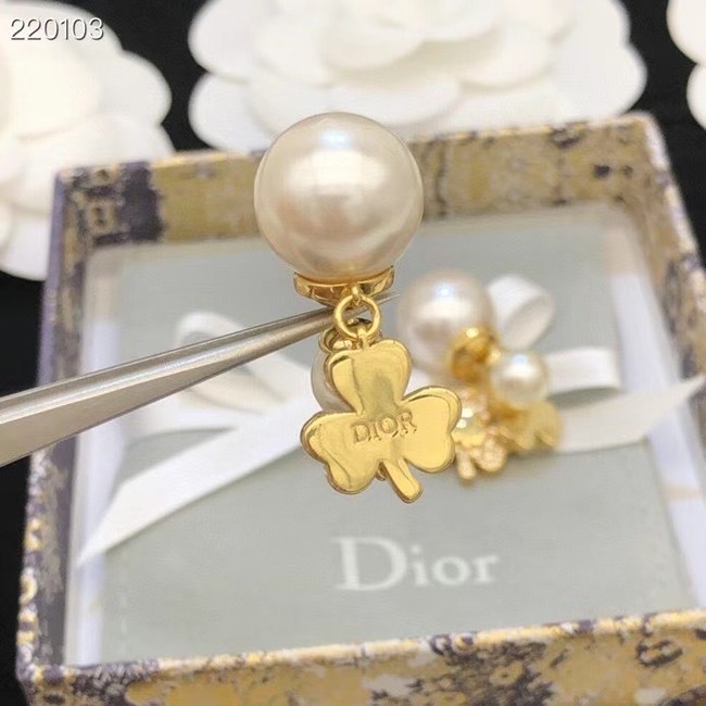 Dior Earrings CE7692