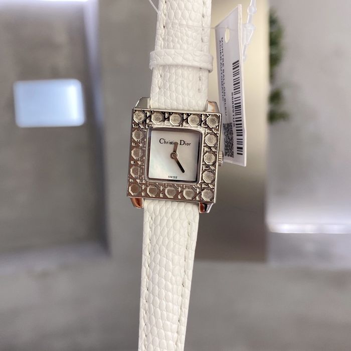 Dior Watch DRW00006-1