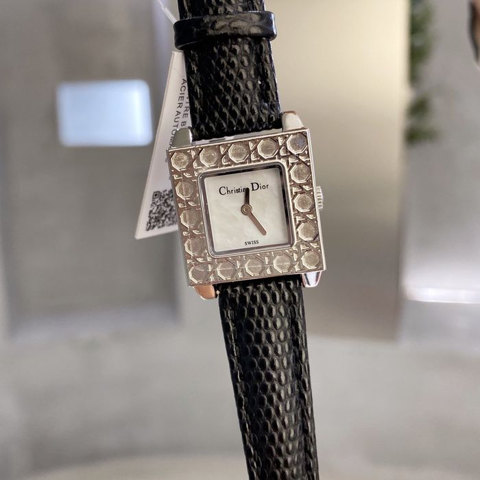 Dior Watch DRW00006-3