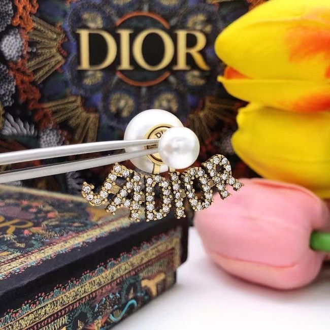 Dior Earrings CE7808