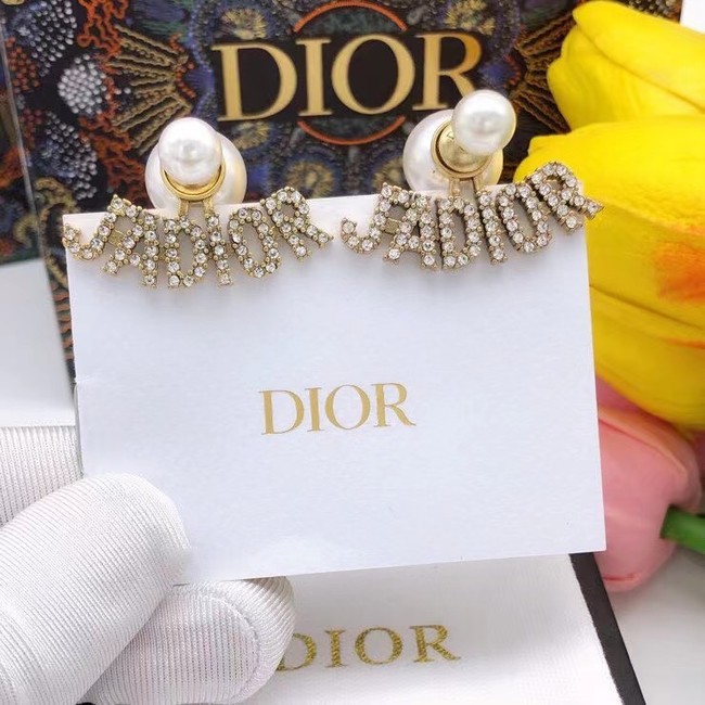 Dior Earrings CE7808