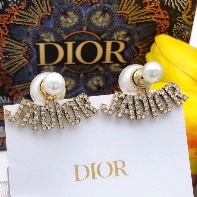 Dior Earrings CE7808