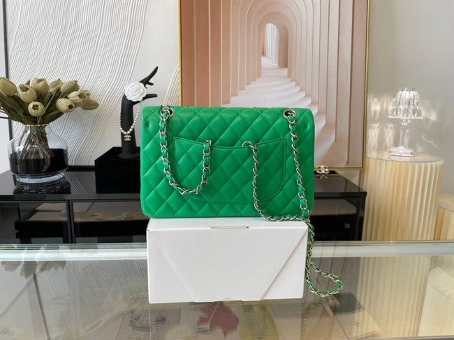 Chanel classic handbag Lambskin&silver Metal 01112 green