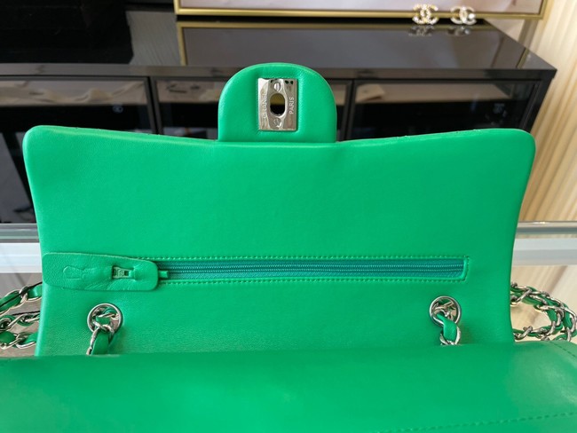 Chanel classic handbag Lambskin&silver Metal 01112 green