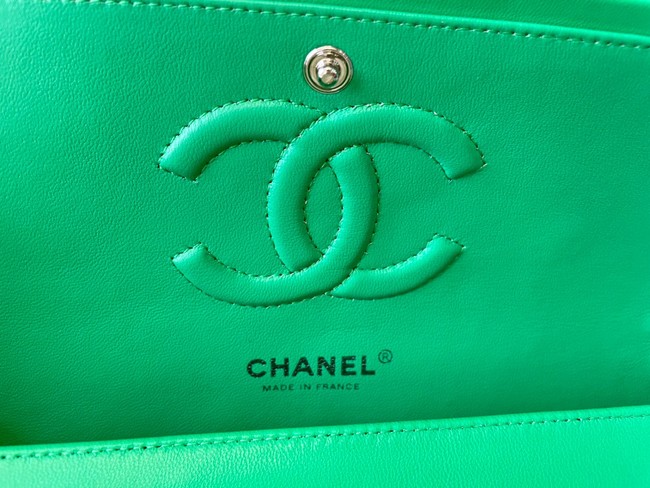 Chanel classic handbag Lambskin&silver Metal 01112 green