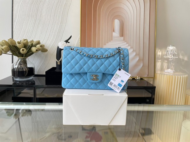 Chanel classic handbag Lambskin&silver Metal 01112 sky blue