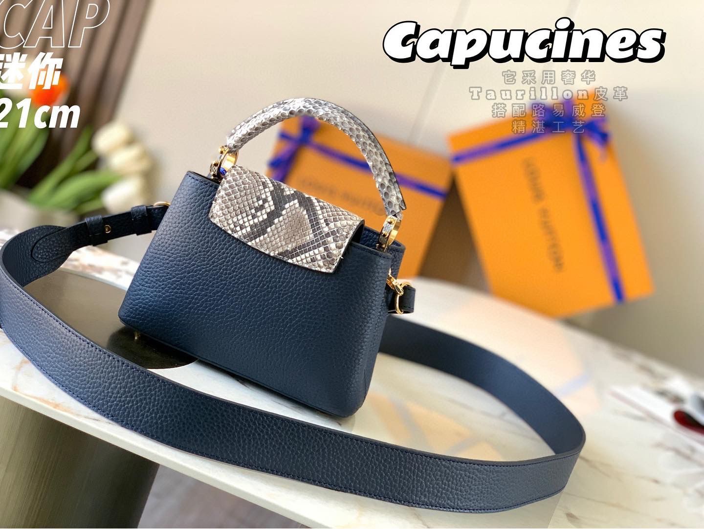 Louis Vuitton CAPUCINES PM Original Python Leather N80041 Navy