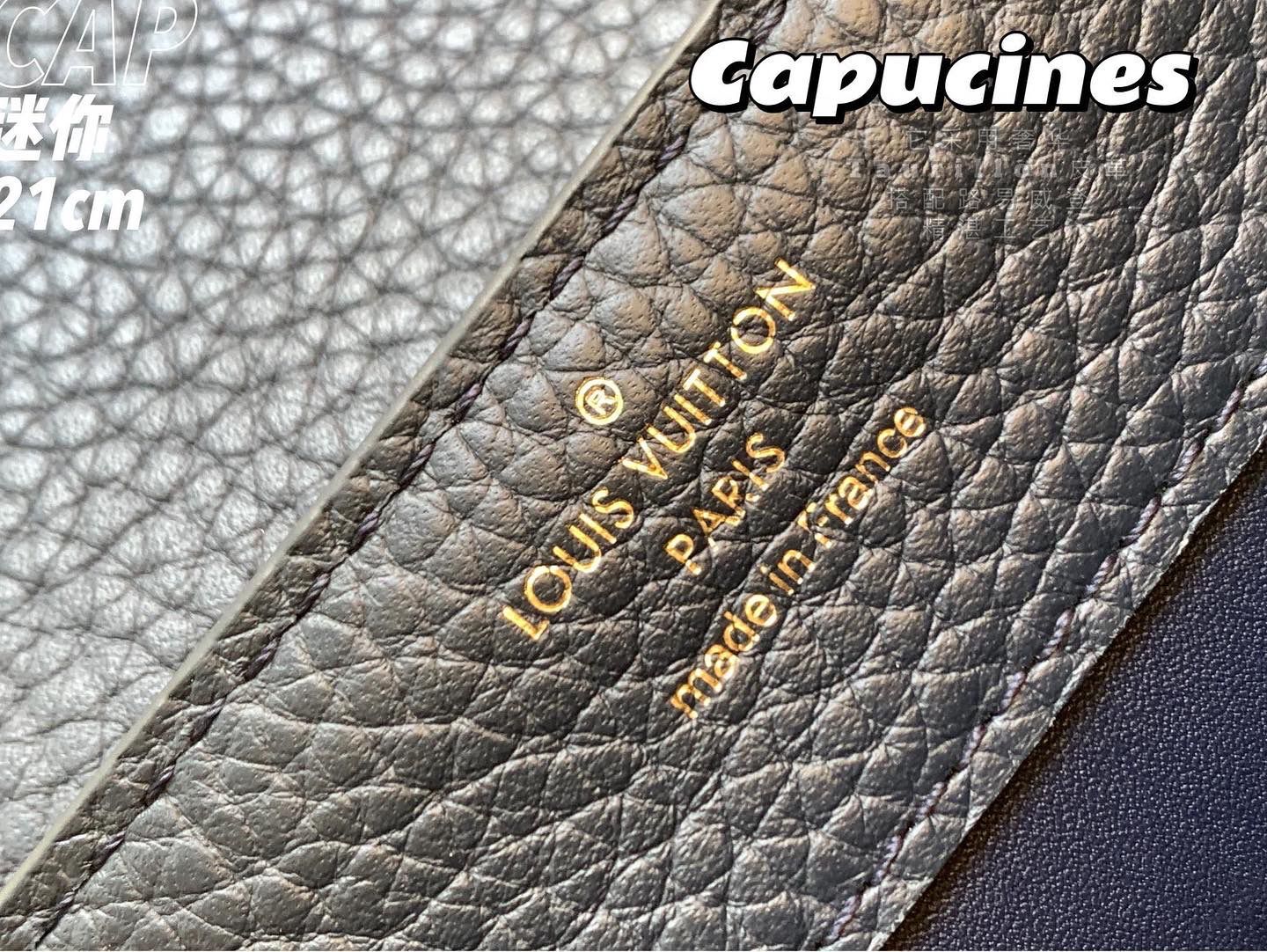 Louis Vuitton CAPUCINES PM Original Python Leather N80041 Navy