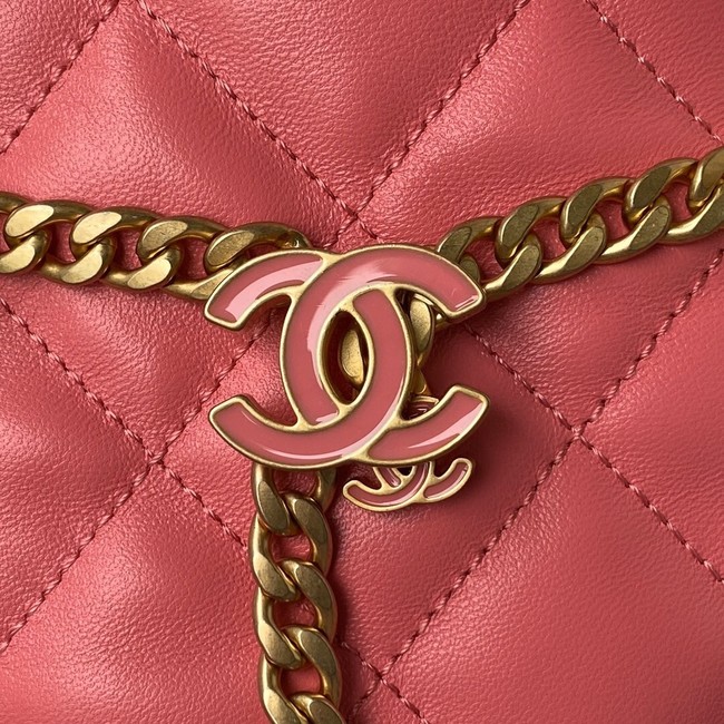 Chanel Drawstring Bag & Gold Metal AS3116 pink