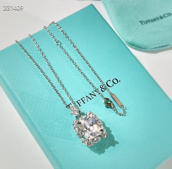 TIFFANY Necklace CE7856