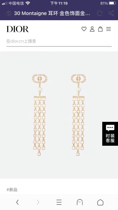 Dior Earrings CE7910