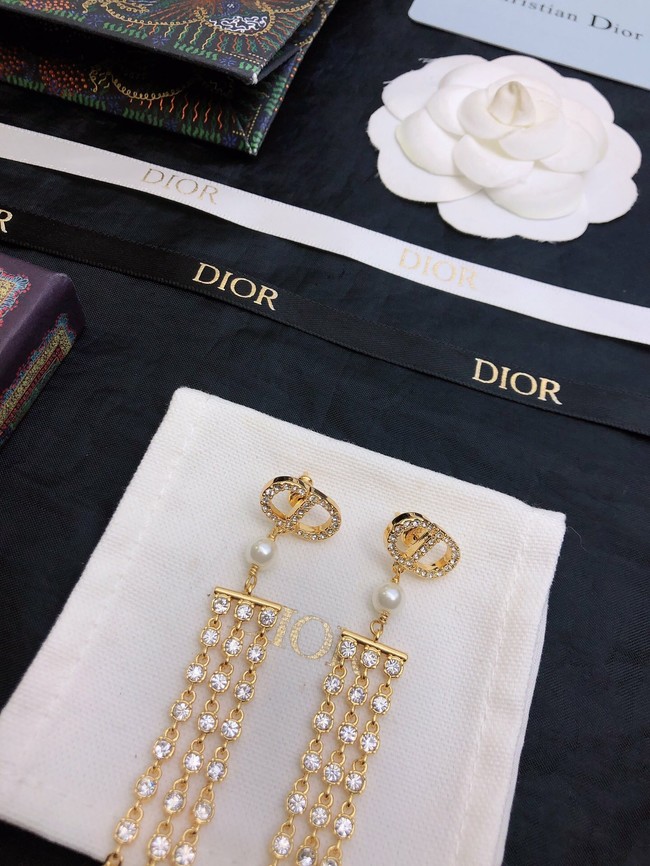 Dior Earrings CE7910