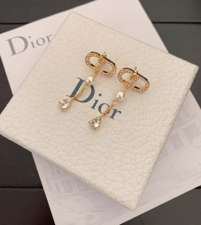 Dior Earrings CE7980