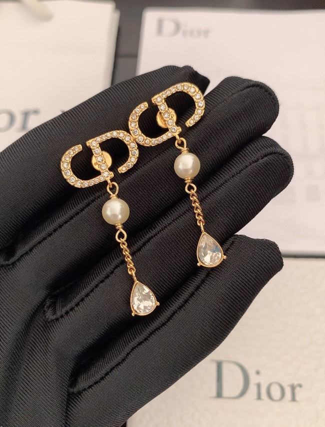 Dior Earrings CE7980