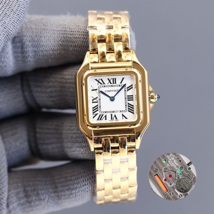 Cartier Watch CTW00016-1