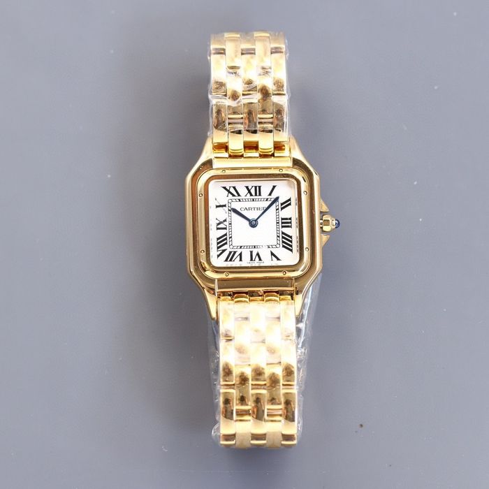 Cartier Watch CTW00016-1