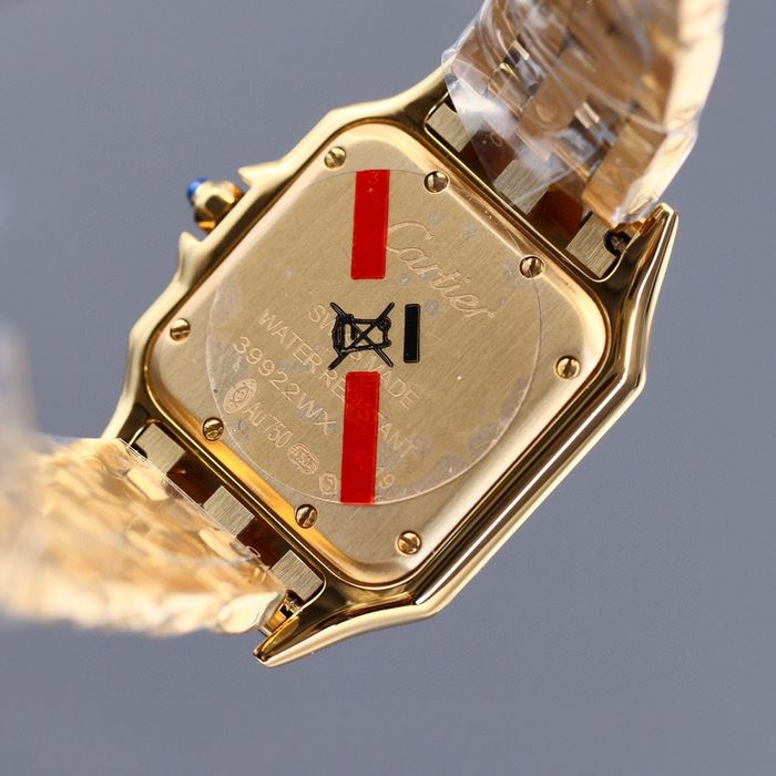 Cartier Watch CTW00016-1