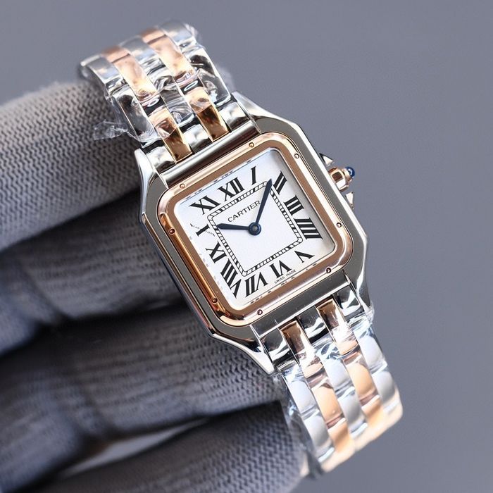 Cartier Watch CTW00017-1
