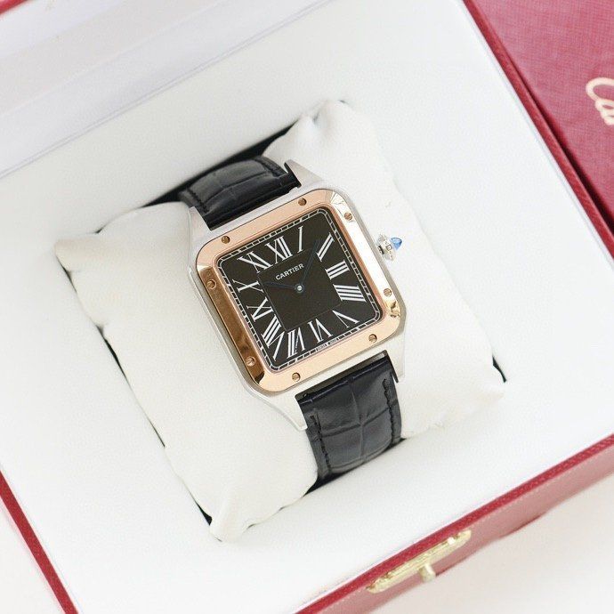 Cartier Watch CTW00018-1